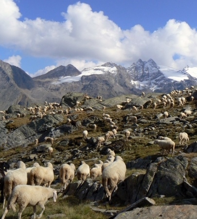 Lavoro nelle Alpi